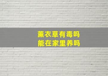 薰衣草有毒吗 能在家里养吗